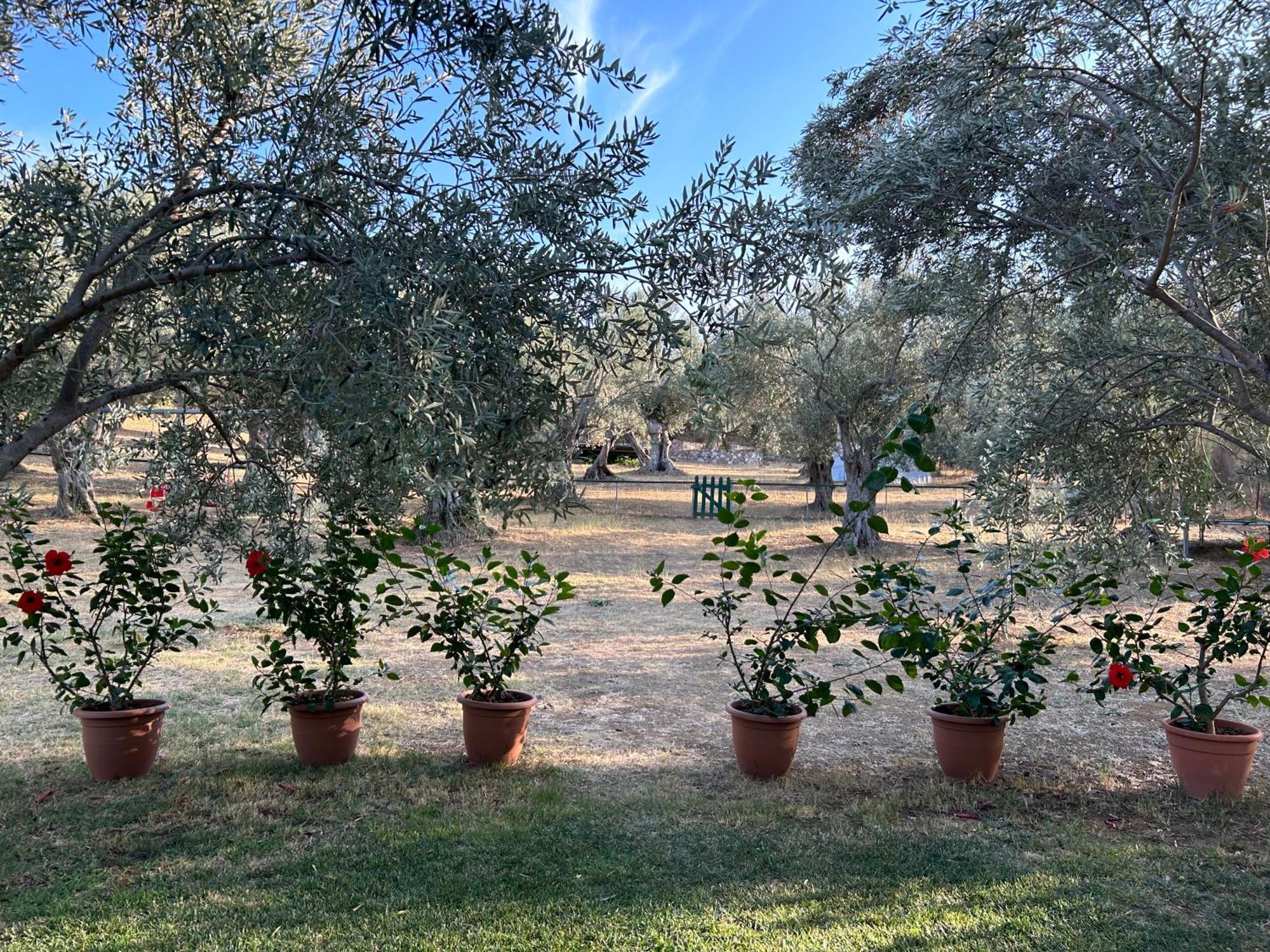Villa Daphnis & Chloe Pírji Thérmisz Kültér fotó