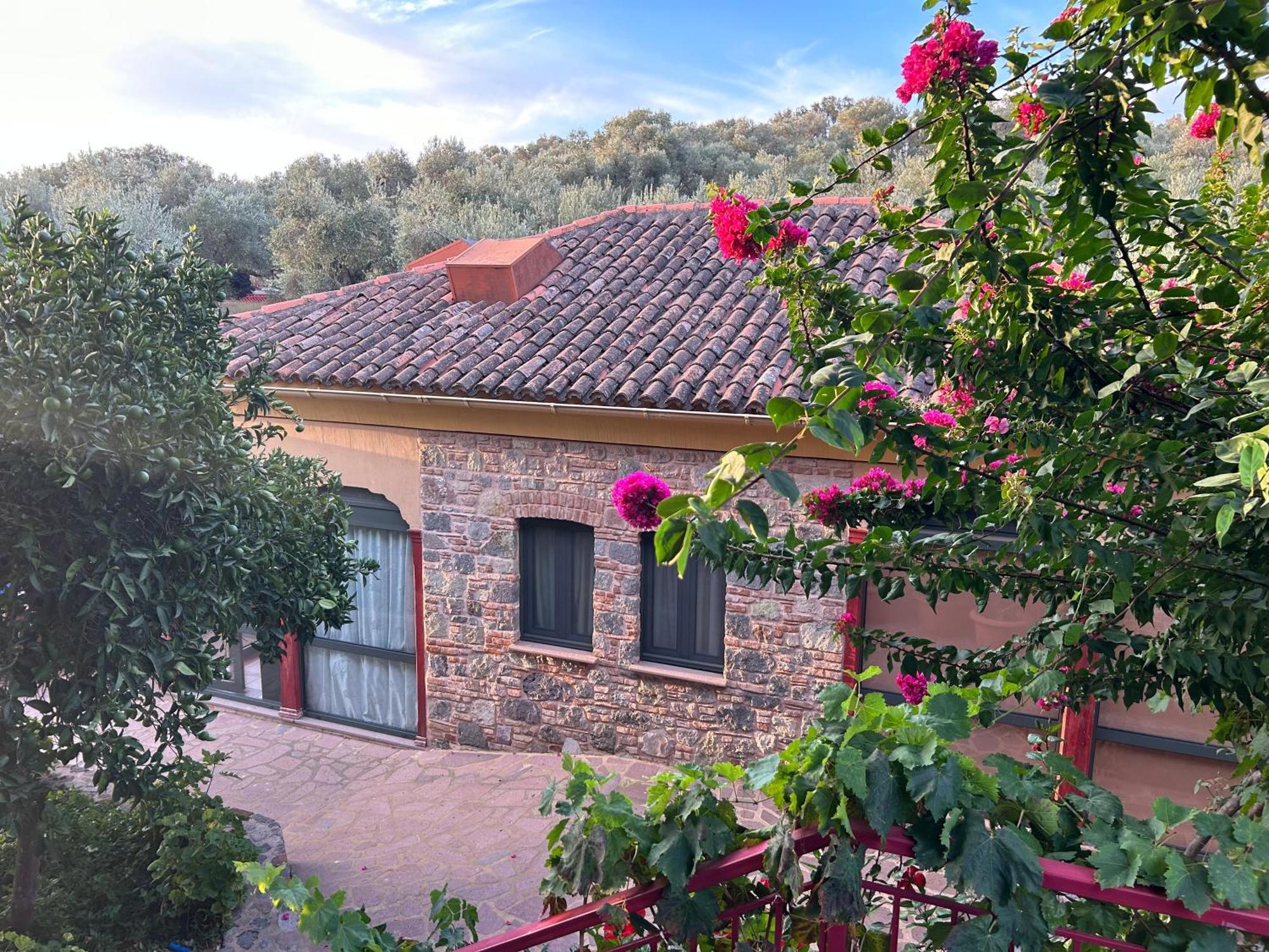Villa Daphnis & Chloe Pírji Thérmisz Kültér fotó